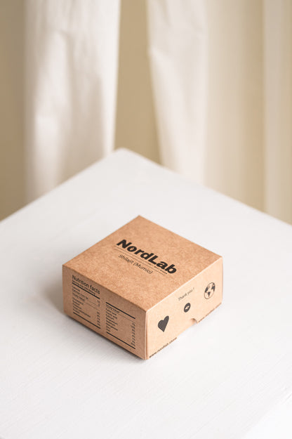 Kraft paper box with 'NordLab' branding on a white surface