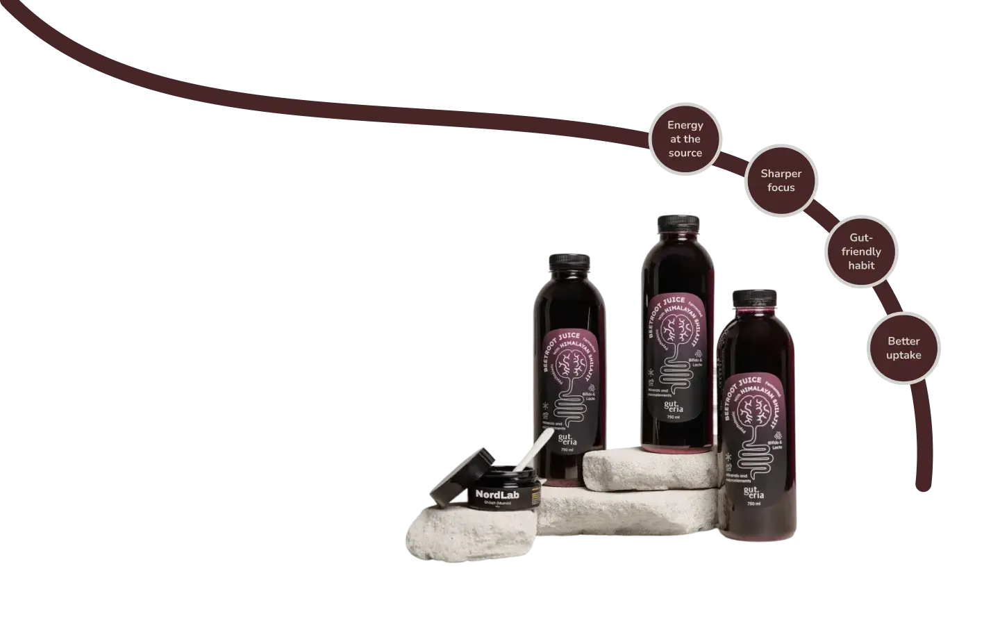 Feel the Beet <br>Feed your Gut <br>